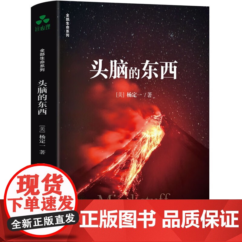 头脑的东西 杨定一的书好睡神圣的你真原医时间的陷阱静坐的科学转折点丰盛同作者书籍 新科学个人心灵成长心理励志颉腾高清大图