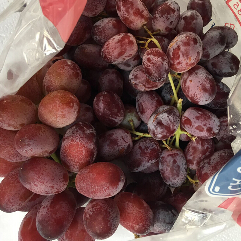 大土澳 澳洲无籽红提1000g装 无核红葡萄提子红提子葡萄时令进口提子红葡萄新鲜水果