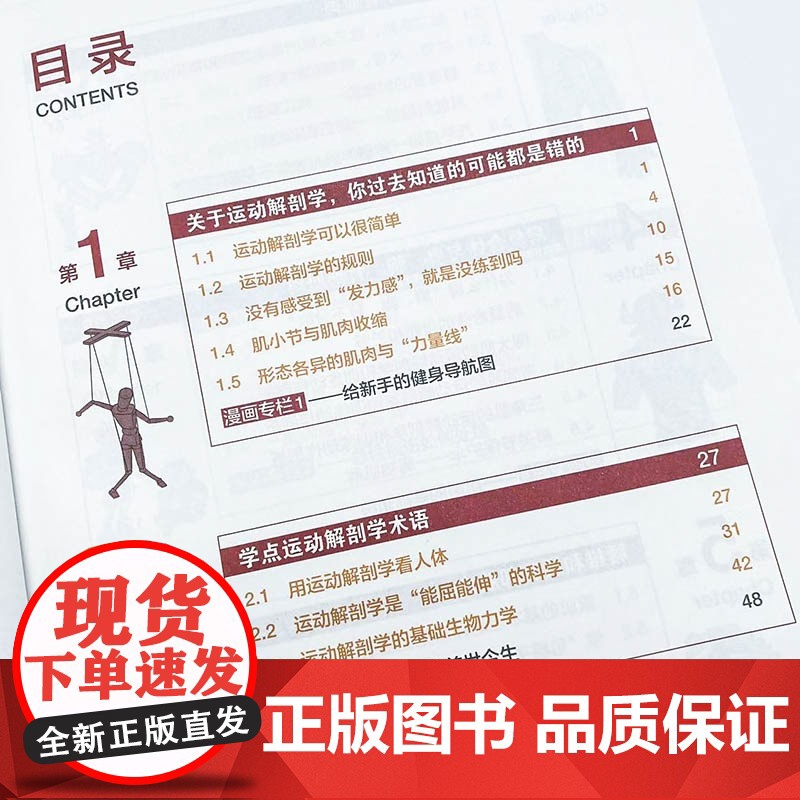 写给健身者的运动解剖学漫画版 健身导师仰望尾迹云 健身训练书籍 肌肉图解健身知识 仰望尾迹云科普入门教程高清大图