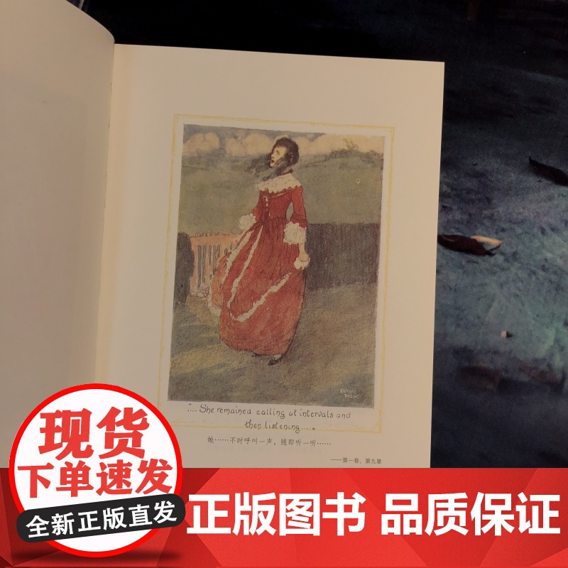 呼啸山庄正版珍藏版 文学名著书籍 外国现当代文学名家作品精选文学小说世界名著全集书排行榜人民文学出版社孙致礼后浪正版高清大图