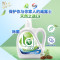 威露士(Walch)洗衣液有氧洗松木3L 除菌除螨