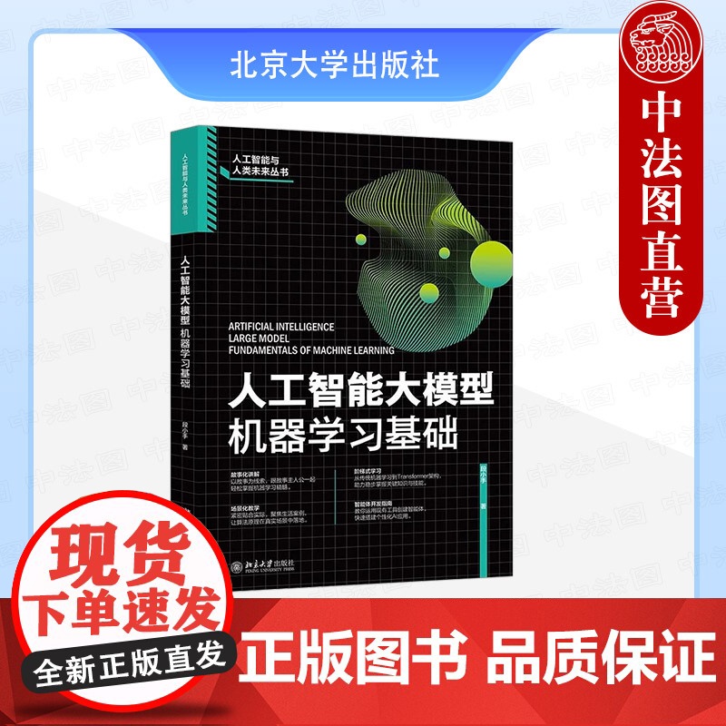 正版 人工智能大模型:机器学习基础 段小手 北京大学出版社 Transformer架构 ai大模型核心技术技能教程书籍