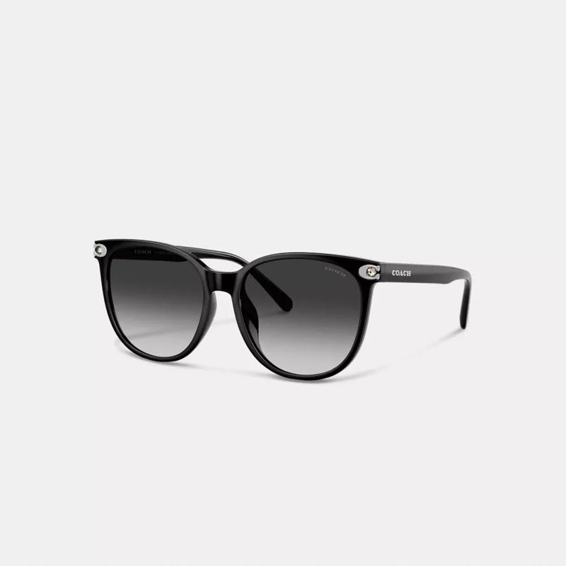 蔻驰(COACH)女太阳镜时尚圆框水晶装饰舒适透气防紫外线百搭眼镜高清大图