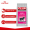 ROYAL CANIN 皇家狗粮 A3优选幼犬狗粮 全价粮 8kg 怀孕及哺乳期母犬 全犬种通用幼犬粮 开启全面营养