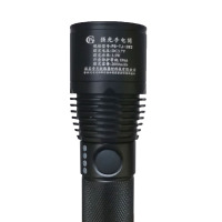 PG 强光手电筒 PG-TJ-3W2 /个