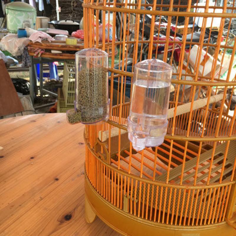 8)画眉鸟笼配件鸟自动喂水器鸟自动喂食器鸟食罐防撒杯防甩杯透明杯>