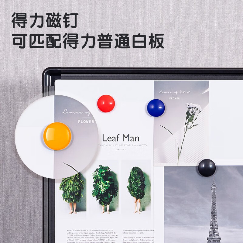 得力(deli)30mm混色白板黑板写字板磁钉白板配件6支/卡7825