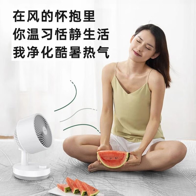 艾美特AIRMATE 电风扇 机械台式循环扇 FA15-X40高清大图