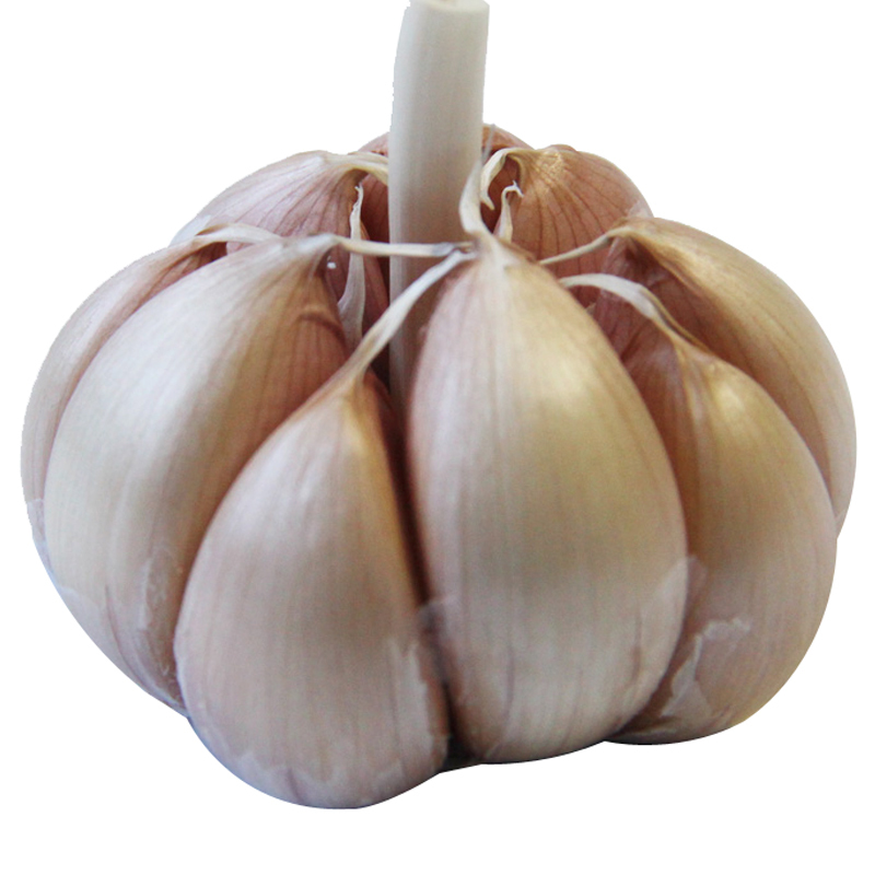 金乡 新鲜干蒜紫皮多瓣大蒜头 2.5kg