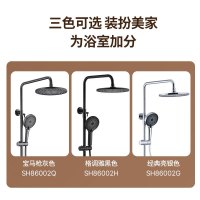 SEREN HOME 赛恩卫浴淋浴花洒套装增压喷枪浴室洗澡喷头莲蓬头黄铜沐浴套装枪灰色黑色