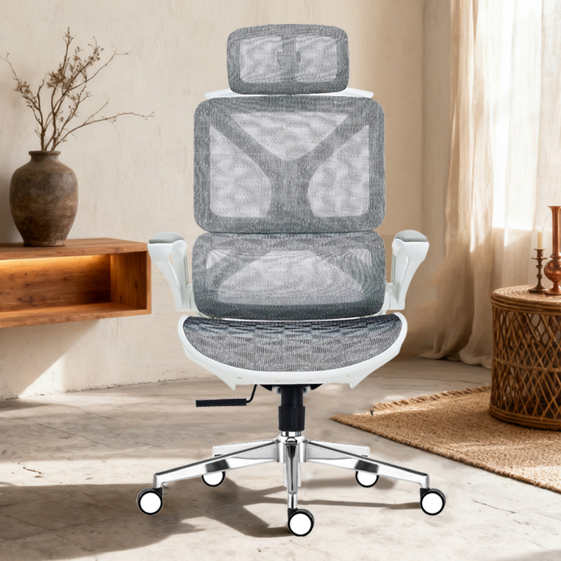 臻远 ZY-8942 办公椅人体工学椅转椅 白框 单位:把高清大图