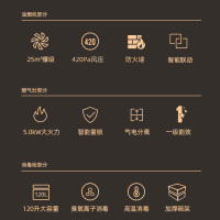 优盟(UM)UJ222集成灶一体灶家用抽油烟机燃气灶消毒柜套装自动清洗烟灶互联-天然气