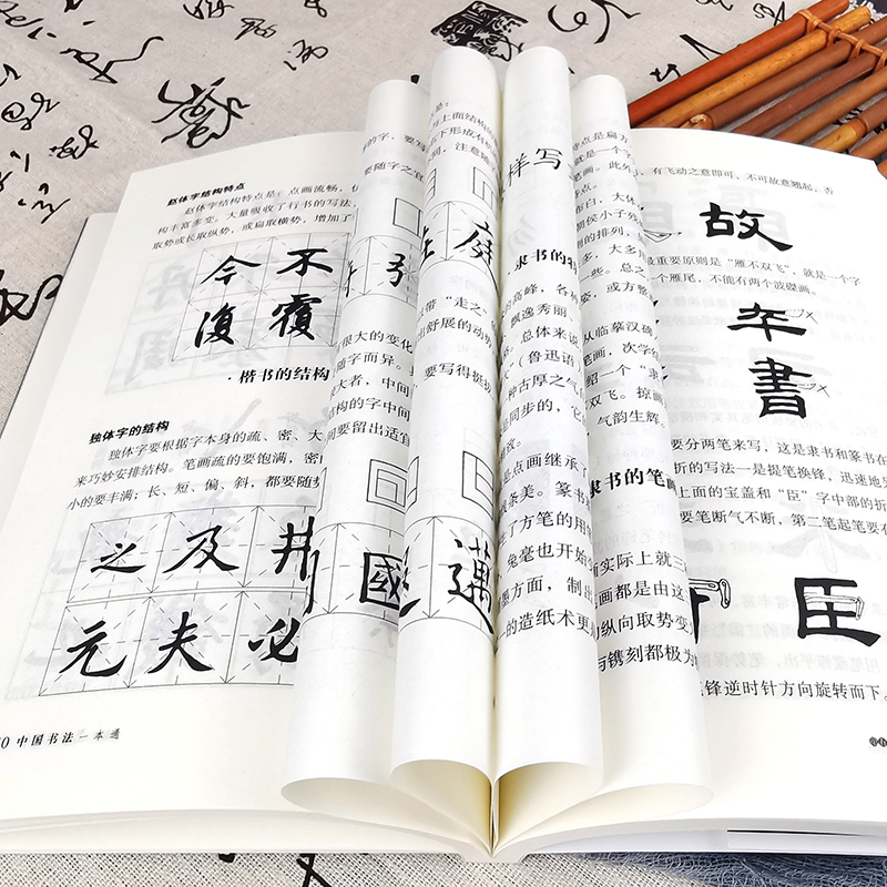 [单册]中国书法一本通 [正版]中国书法一本通大全书籍中国历代书法篆书楷书入门历代名家王羲之等收藏真迹艺术书法篆刻书法作