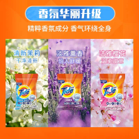 宝洁系列汰渍净白去渍洗衣粉1.15kg*6整袋装新旧包装升级随机发货整箱起发