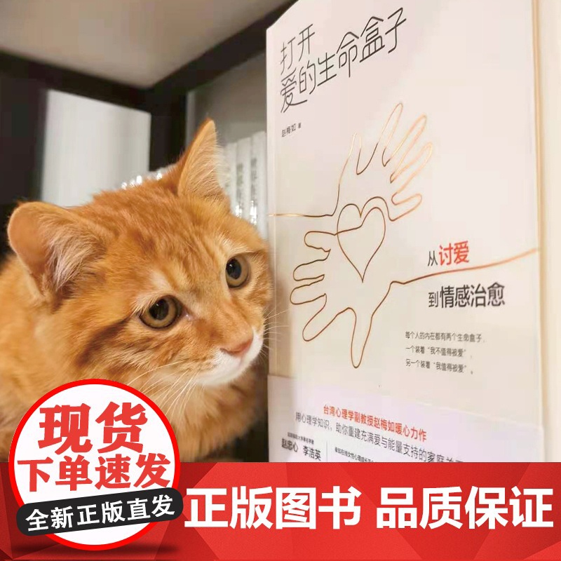 打开爱的生命盒子:从讨爱到情感治愈(超会讲故事的台湾心理专家赵梅如新作 赵梅如 上海社会科学院出版社 正版书籍高清大图