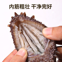 北京同仁堂即食海参500g滋补品营养品拜年礼盒免泡发大连辽参送长辈礼