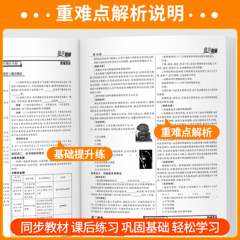 生物[北师版] 八年级下 [正版]鼎尖教案初中七年级八年级九年级上册下册语文数学英语物理化学生物政治历史地理体育人教版教高清大图