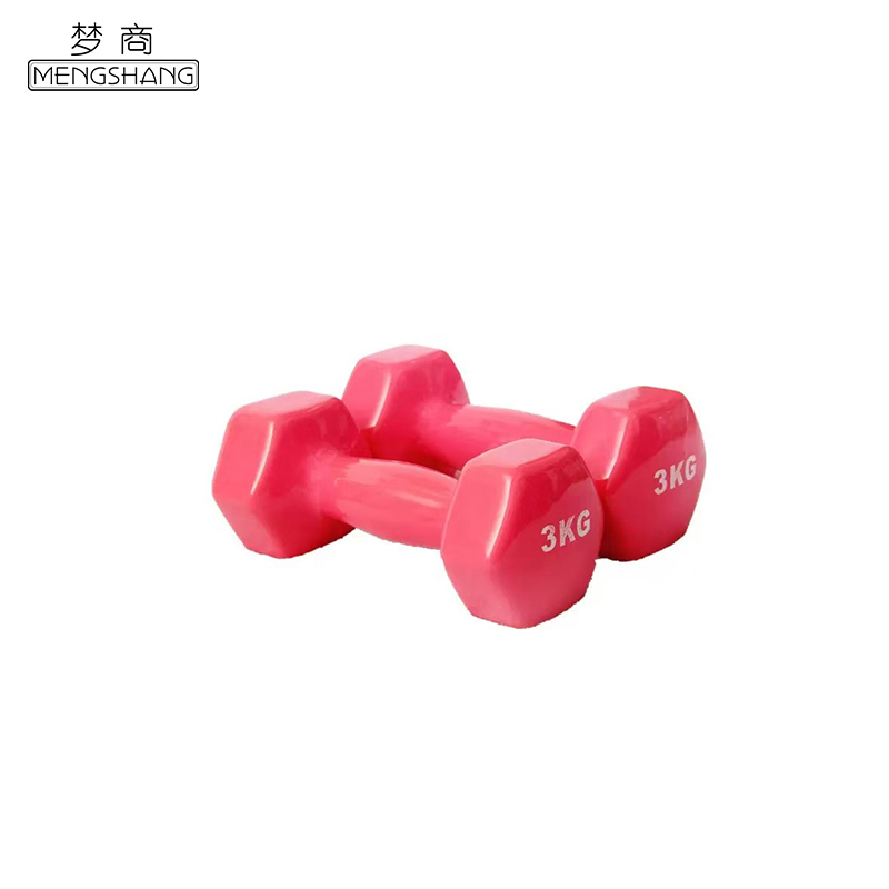 梦商 哑铃 3KG*2 MS-L03 对