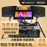 山水(SANSUI)SP2-10 家用客厅电视套装家庭影院KTV音响K歌卡拉OK组合音箱 3T智能语音点歌机