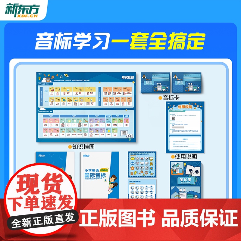 [新东方]国际音标盒子48个音标全讲解小学英语音标和自然拼读初学者零基础教材书视频课程背单词图解国际音标专项训练题云书高清大图