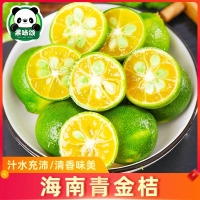 小金桔新鲜水果当应季青金桔柠檬奶茶店榨汁调味 250g/份