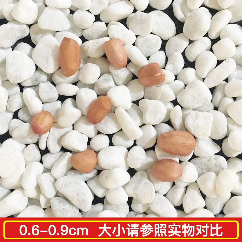 白石子 庭院铺路铺地小白石头园林枯山水白石子 1-1.5CM 10斤装