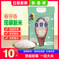 角山(JiaoShan)大米春芽香丝苗米10斤装 一级籼米 长粒细 鲜米 新米 非东北大米5kg