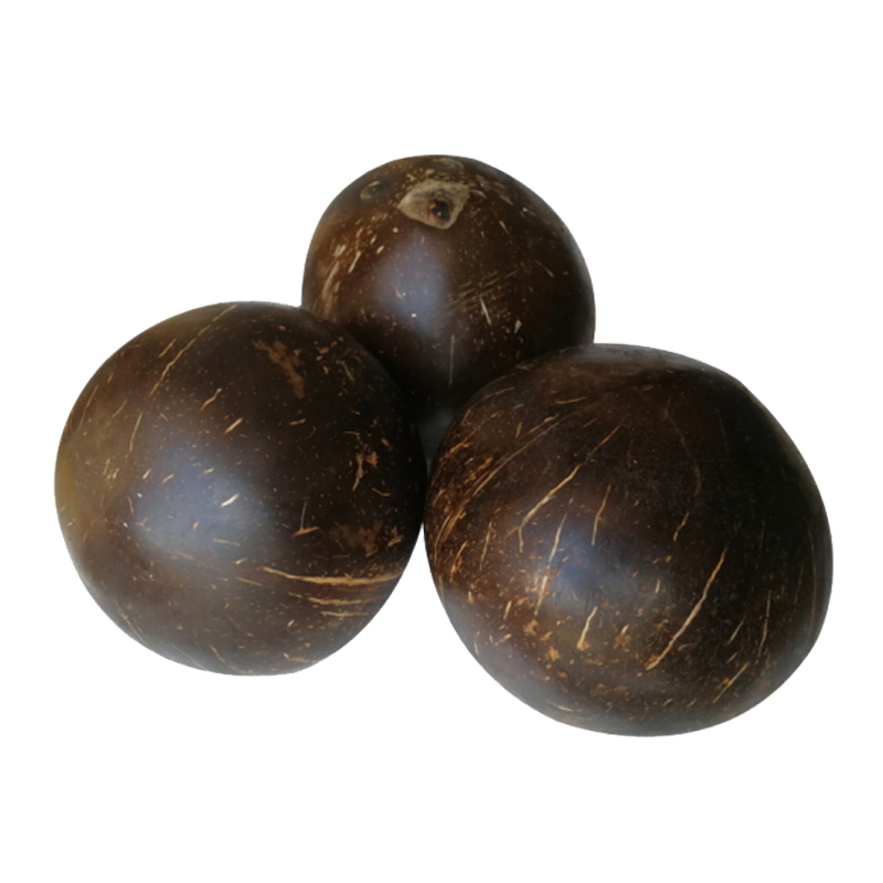 海南黑壳牛奶椰皇椰子8枚装时令新鲜水果味道香甜陈小四水果