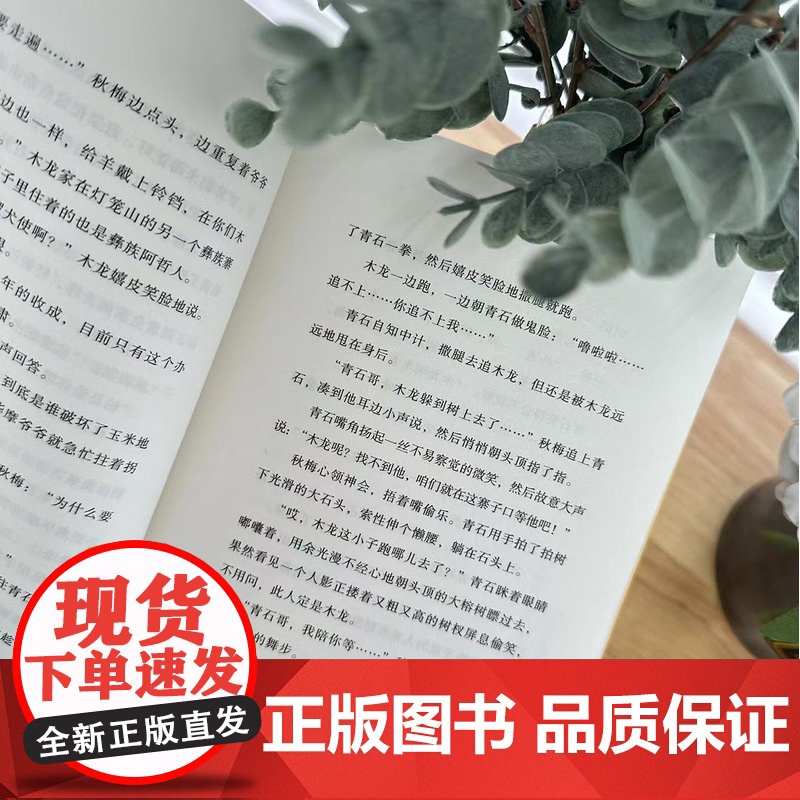 闹猴儿/绿意盎然的生态文学,全景式呈现南盘江两岸的大美自然风光高清大图