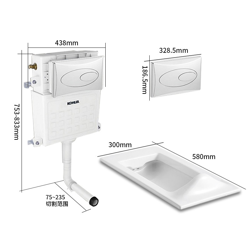 科勒Kohler 巴尔顿蹲便器蹲坑入墙水箱含面板20443T 20443T+77666T-NA+6283T-CP