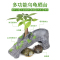 乌龟缸大型鱼宠物龟养乌龟专用水龟饲养箱特大号超大家用养龟大号