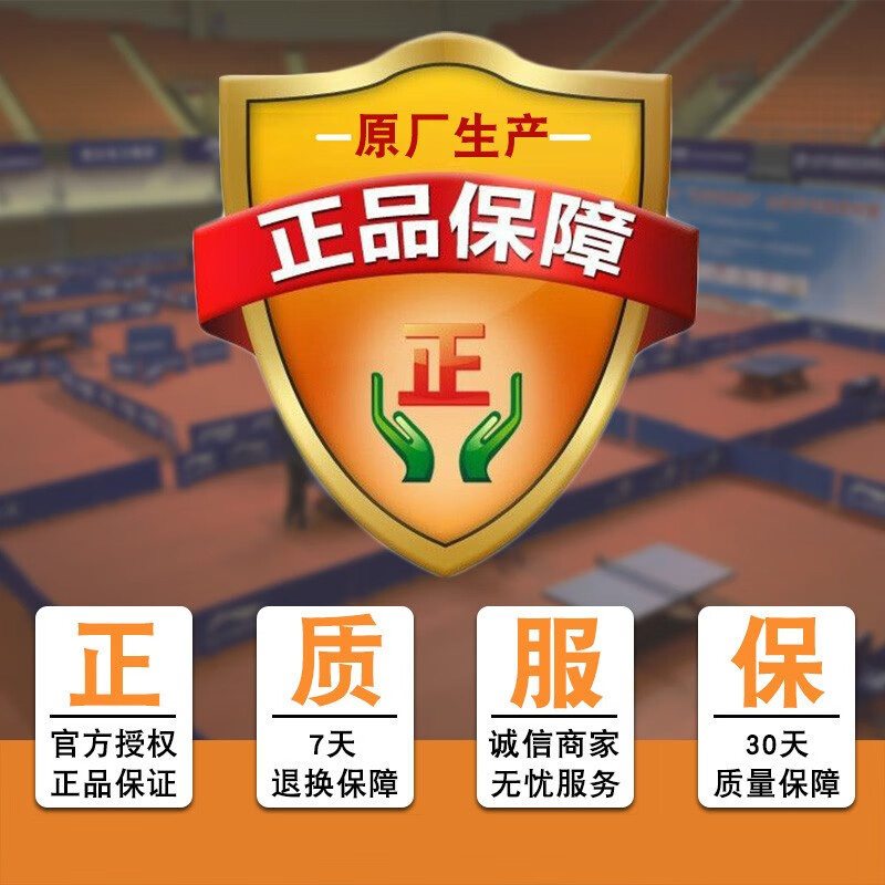 红双喜(DHS)乒乓球发球机训练家用桌面迷你型发球机彩虹R0 附集球网+球