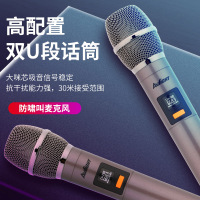 爱浪(AvliGHT) DX20-08 户外广场舞音响直播K歌拉杆移动便携一体式大功率音箱抖音快手网红 8吋