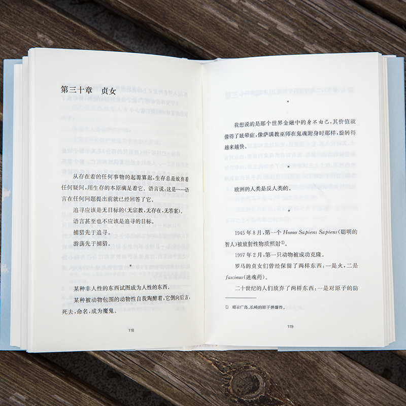 醉染图书游荡的影子97873052213高清大图
