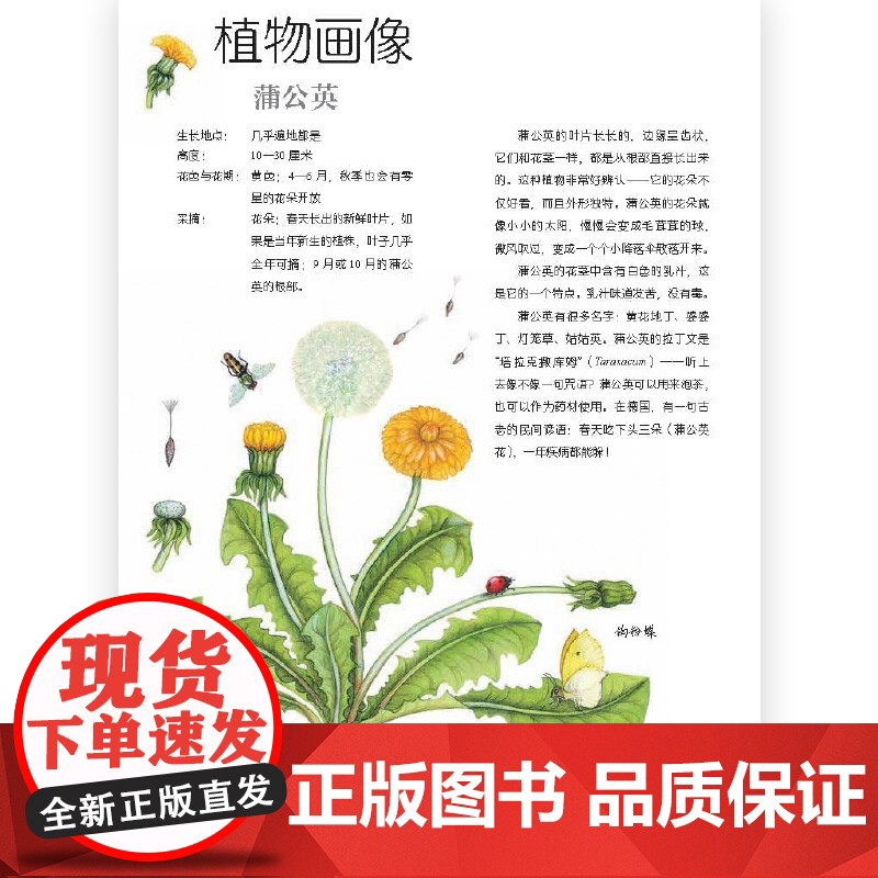 草的自然课 动手体验大自然 3-6岁 玛丽恩·克劳森等 著 科普百科高清大图