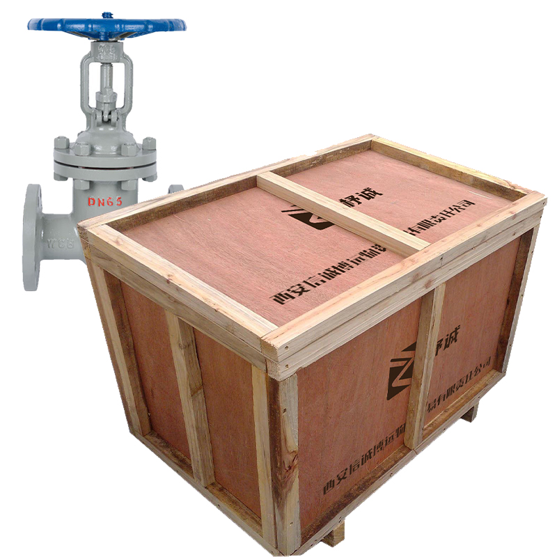 杼诚铸钢闸阀DN65/个高清大图