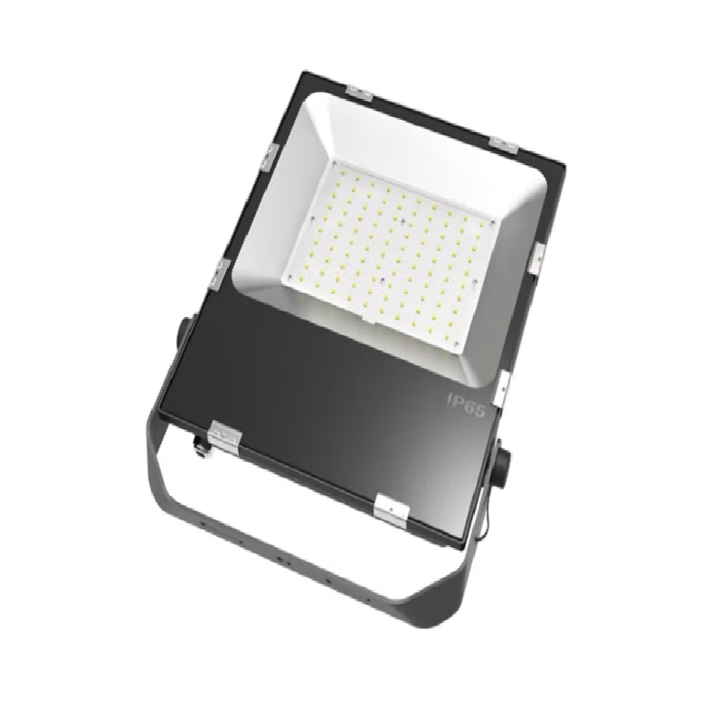 华光毅 HYSF2101 LED三防灯 100W(计价单位:台) 黑色高清大图