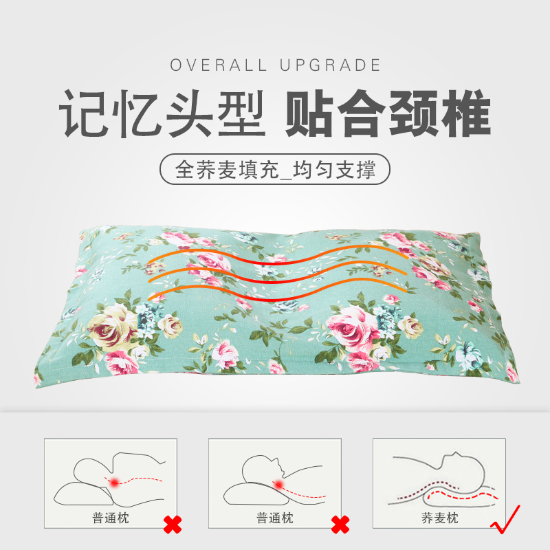 荞麦枕头单人双人家用大人荞麦皮枕芯乔麦壳枕头芯颈椎整头护颈枕