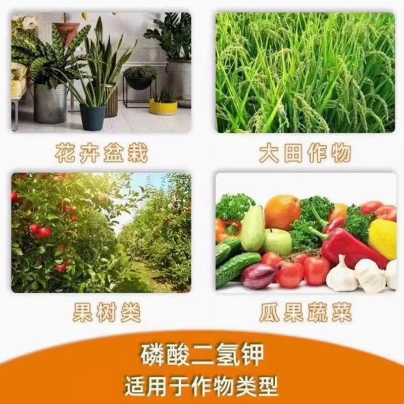 磷酸二氢钾叶面肥通用磷钾肥/25公斤高清大图