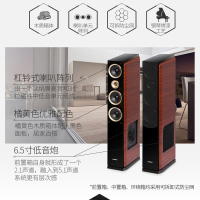 山水(SANSUI) F5 家庭影院5.1音响组合套装家用电视卡拉OK音响 支持解码功放 10寸低音炮