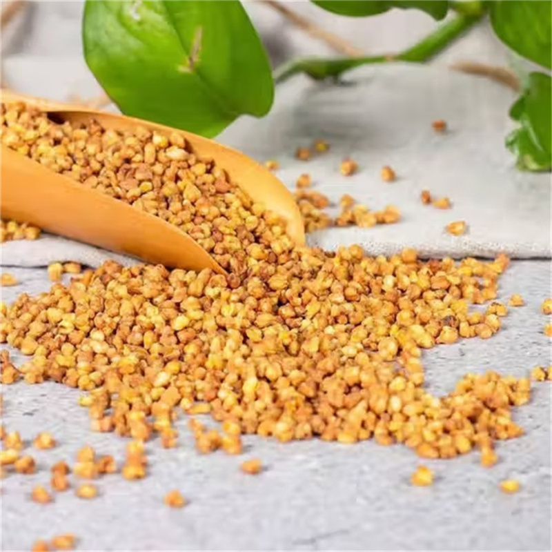 黄苦荞茶正品黑苦荞大麦大凉山250g麦香型荞麦茶特产级官方旗舰店高清大图