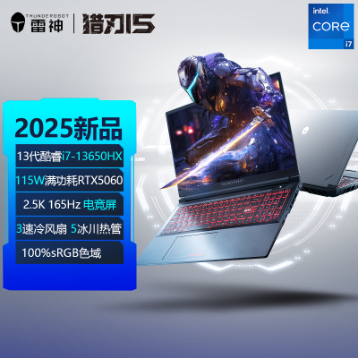雷神（ThundeRobot）R15-i713650HX5060