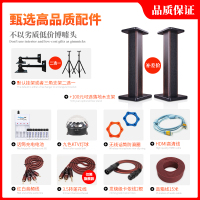 BMB CSV900家庭ktv音响套装 家庭唱歌音响套装高端卡拉OK音响 12英寸包房音响定金链接