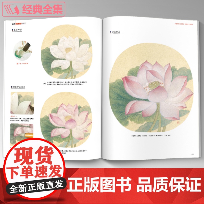 正统工笔花鸟技法入门基础教程书籍中国工笔画白描勾线杨建飞sh高清大图