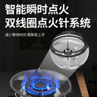 樱花(SAKURA)燃气灶 5.0KW 全铜火盖 零秒点火 台嵌两用一级能效灶台 煤气灶具 JZY-GC01液化气
