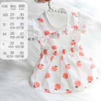 狗狗衣服夏季薄款裙子泰迪比熊猫咪兔子小型犬水果裙可爱宠物衣服 夏日水果裙-橘色 XS号（约1-3斤穿）具体看尺寸