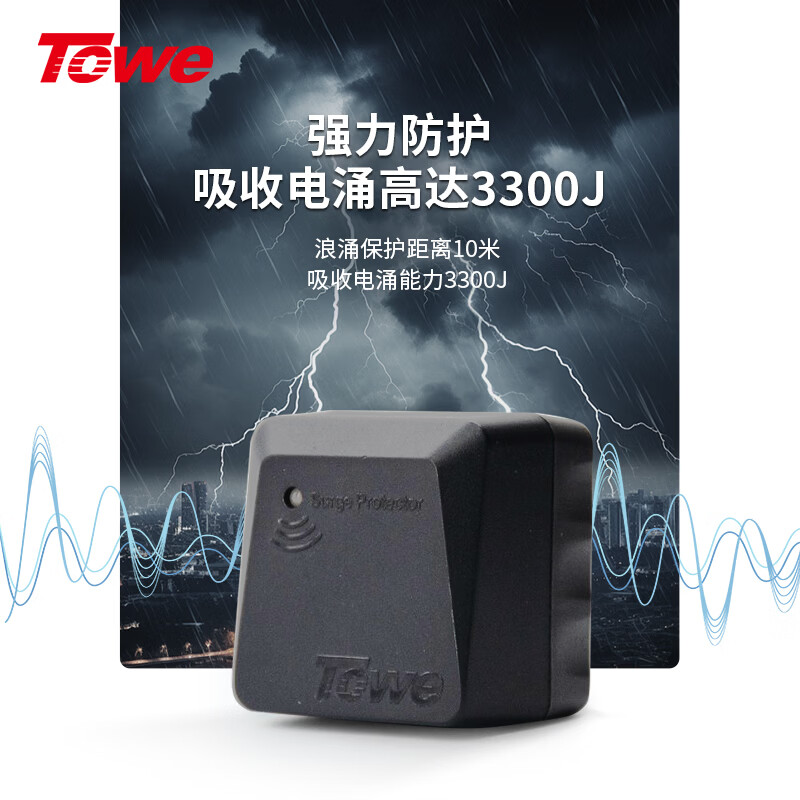 TOWE同为(TOWE)防雷防浪涌插头电源转换器插座防雷器保护开关AP-1010S高清大图