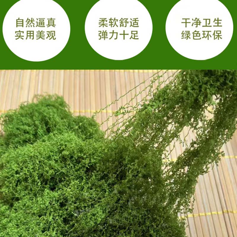 仿真苔藓 浅绿200g高清大图