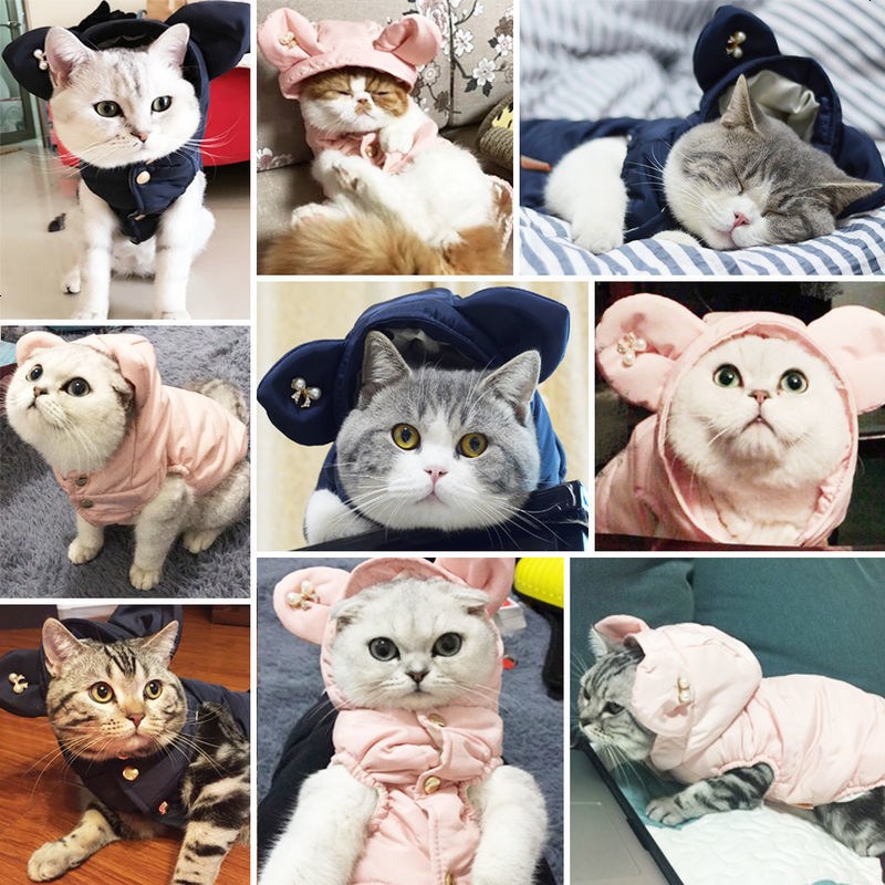 猫咪衣服小猫衣服可爱加菲猫英短猫的冬季保暖幼猫衣服宠物秋冬