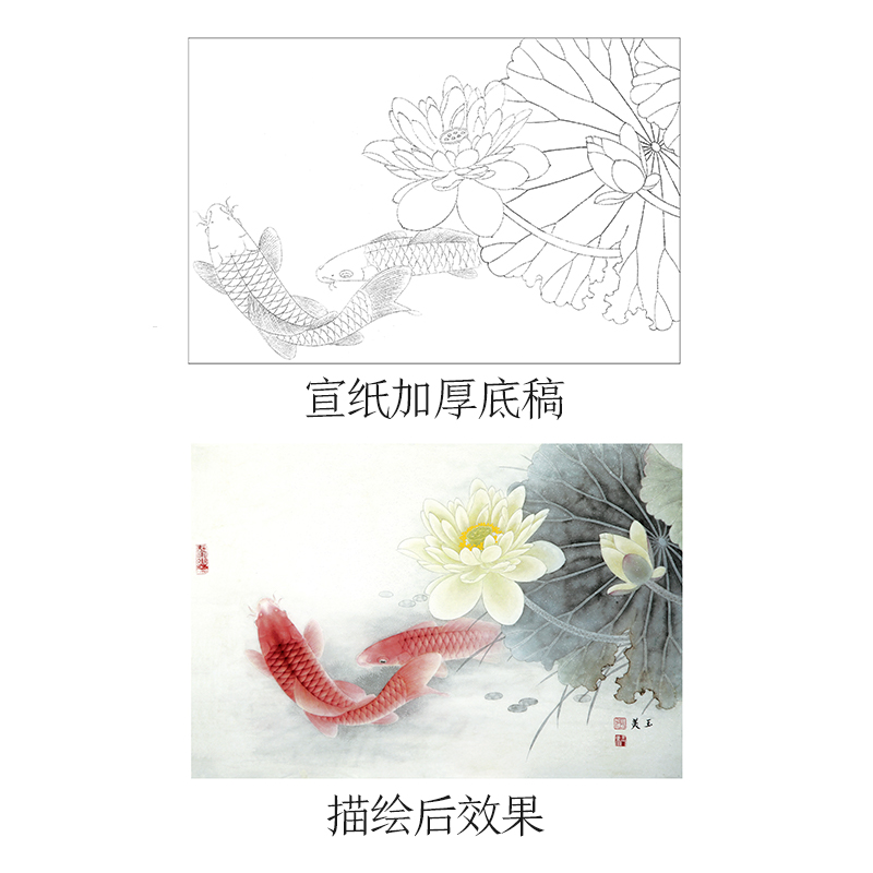 [醉染正版]工笔画新手入门书籍中英双语版墨点美术二色莲初学者零基础临摹画册线描花鸟带上色步骤国画入门基础教程书高清大图
